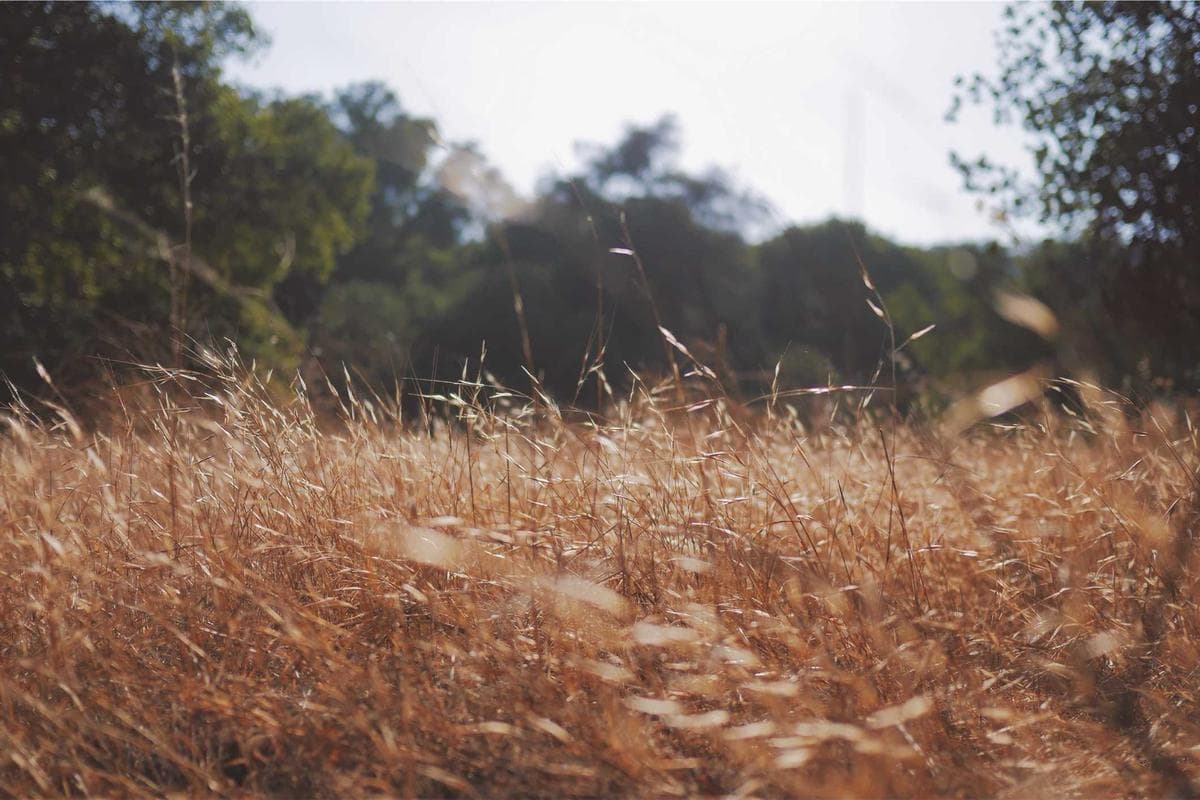 Hyundai IONIQ 6 - zdjęcie 11