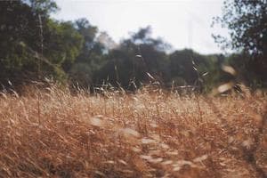 Hyundai IONIQ 6 - miniatura 11