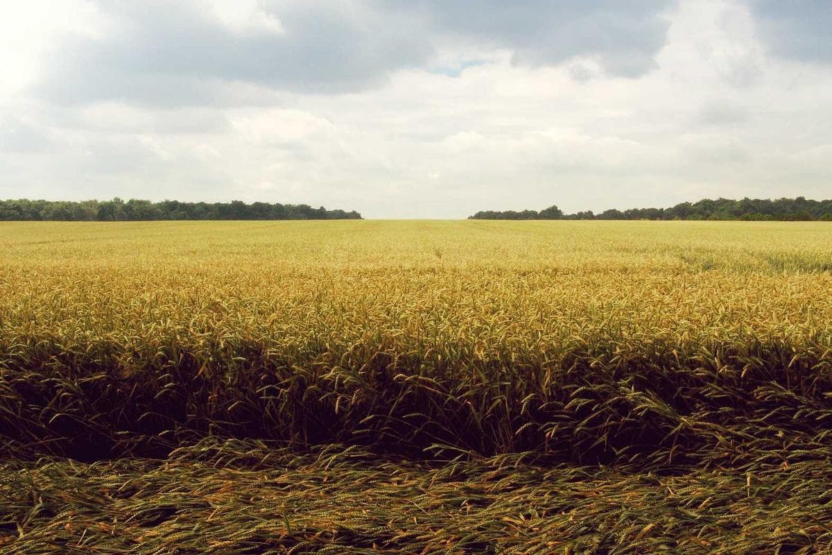 Hyundai IONIQ 6 - zdjęcie 16