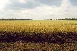 Hyundai IONIQ 6 - miniatura 16