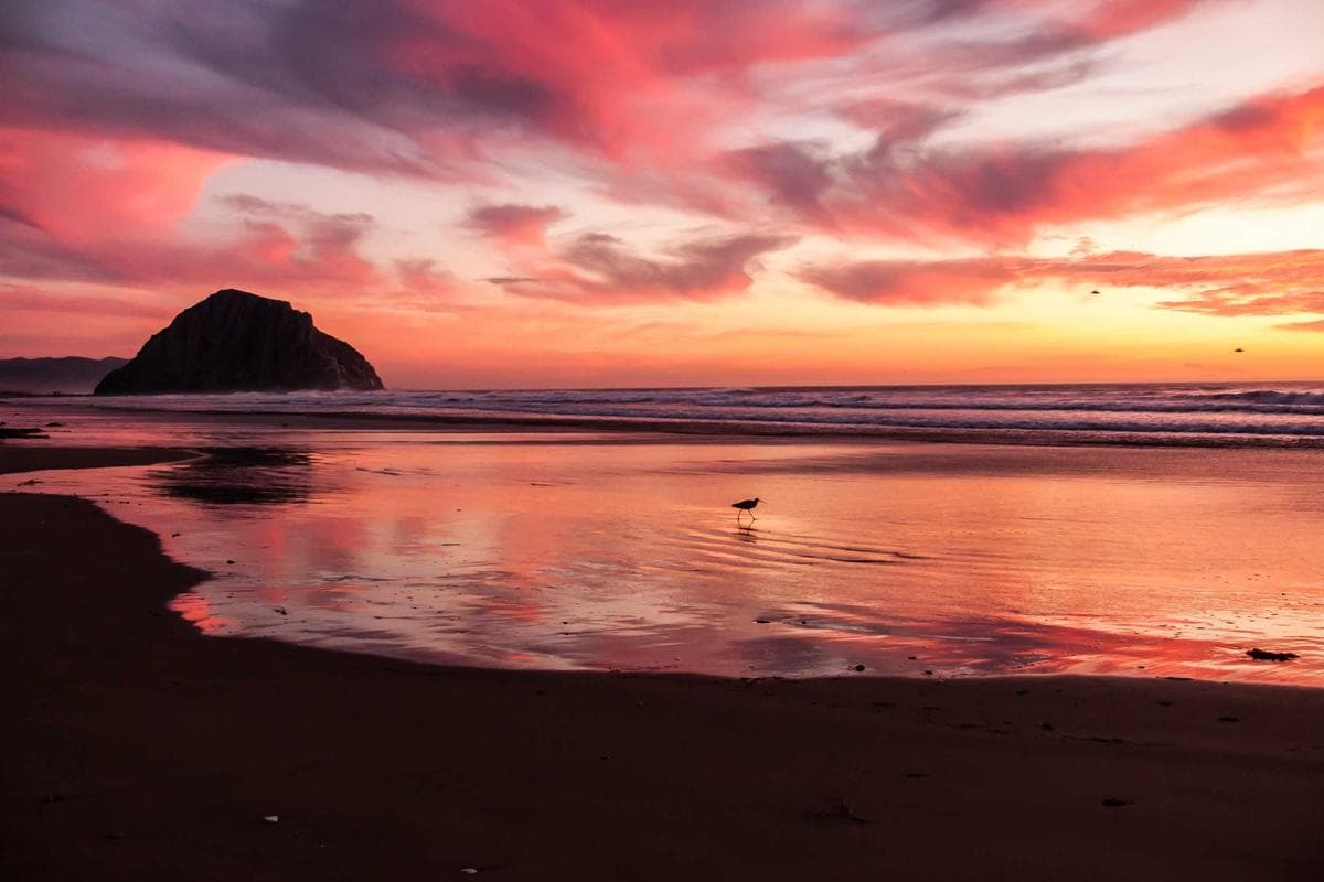 Hyundai Kona - zdjęcie 8