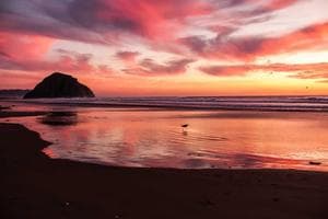 Hyundai Kona - miniatura 8