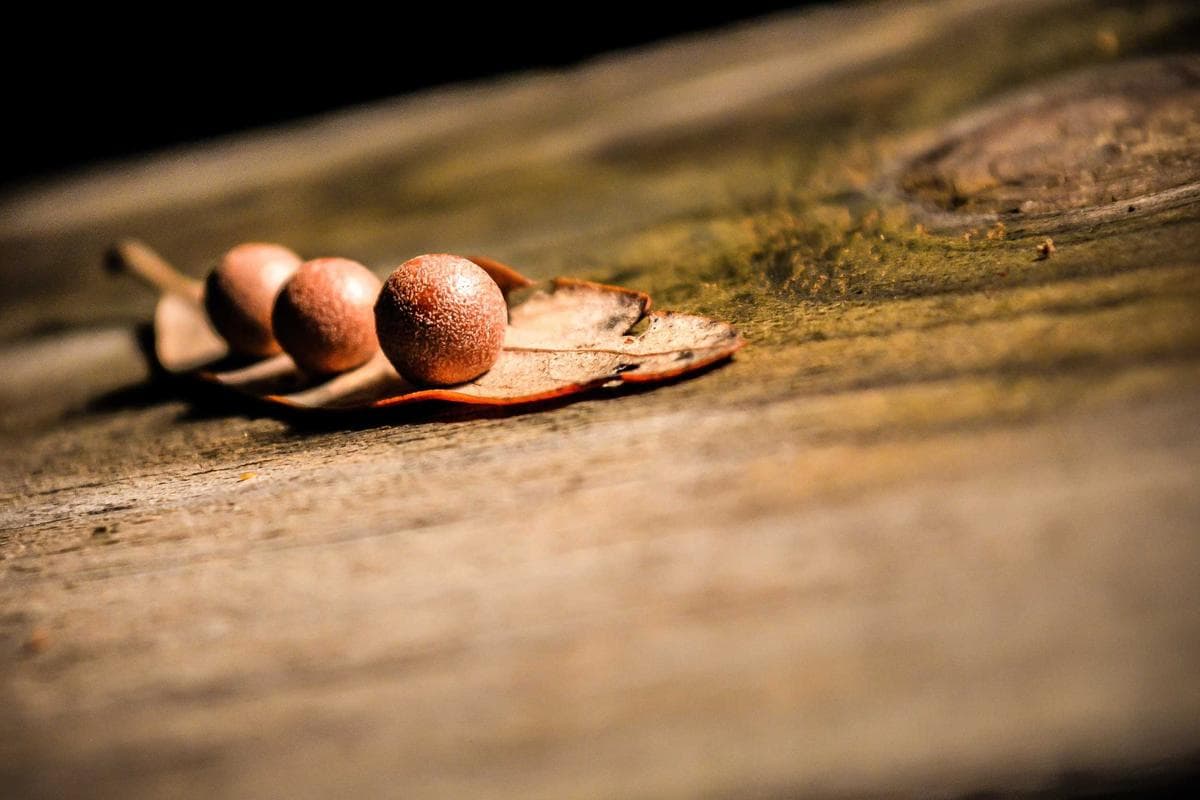 Hyundai i30 N - zdjęcie 9