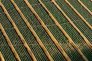 Hyundai Bayon - miniatura 14